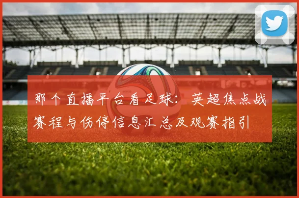 那个直播平台看足球：英超焦点战赛程与伤停信息汇总及观赛指引