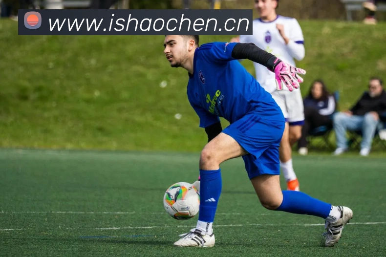 App Interface Preview