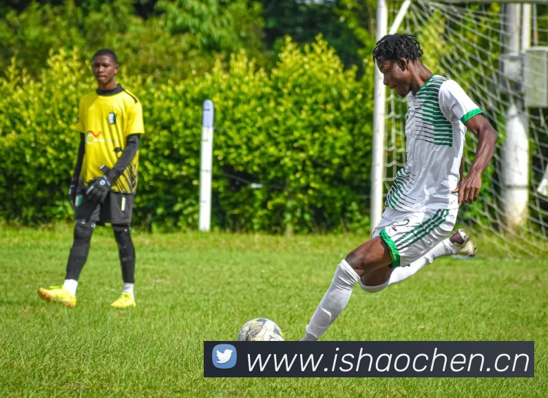 半岛网页版官网APP 封面图